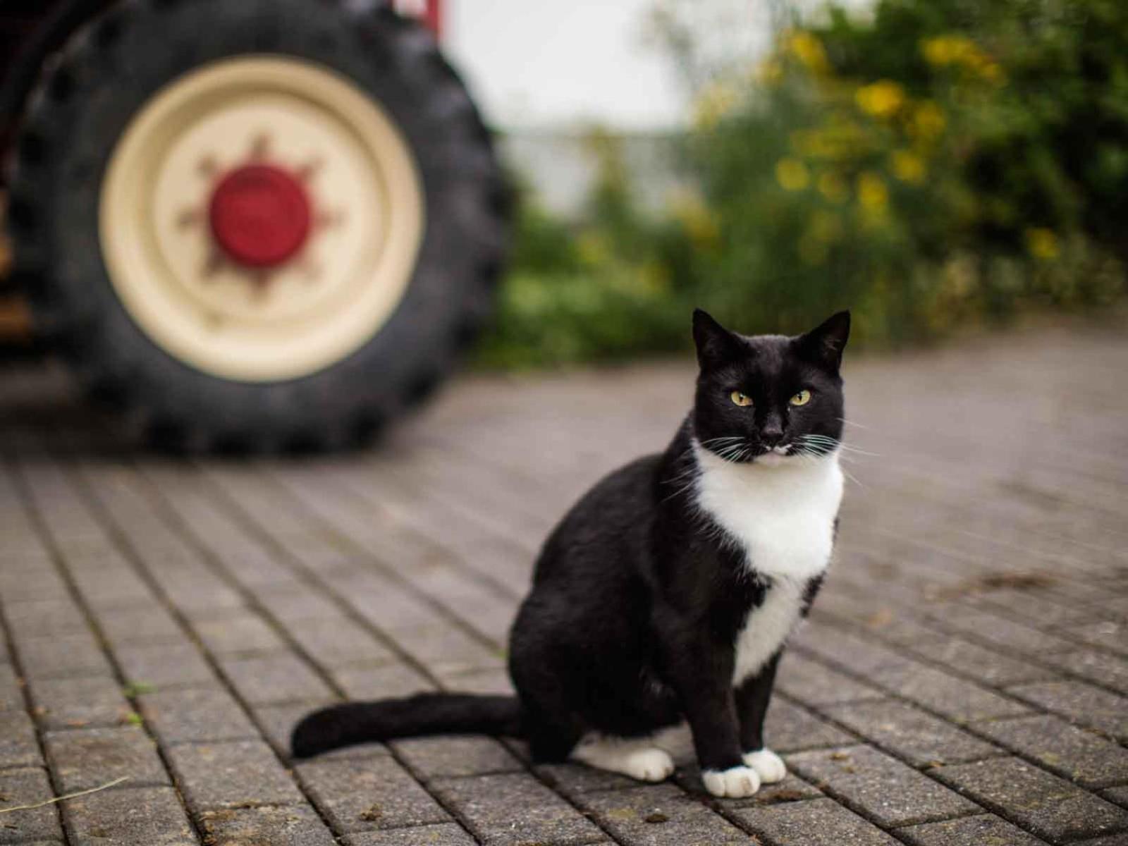 Kornkammer Schmallenberg Dış mekan fotoğraf
