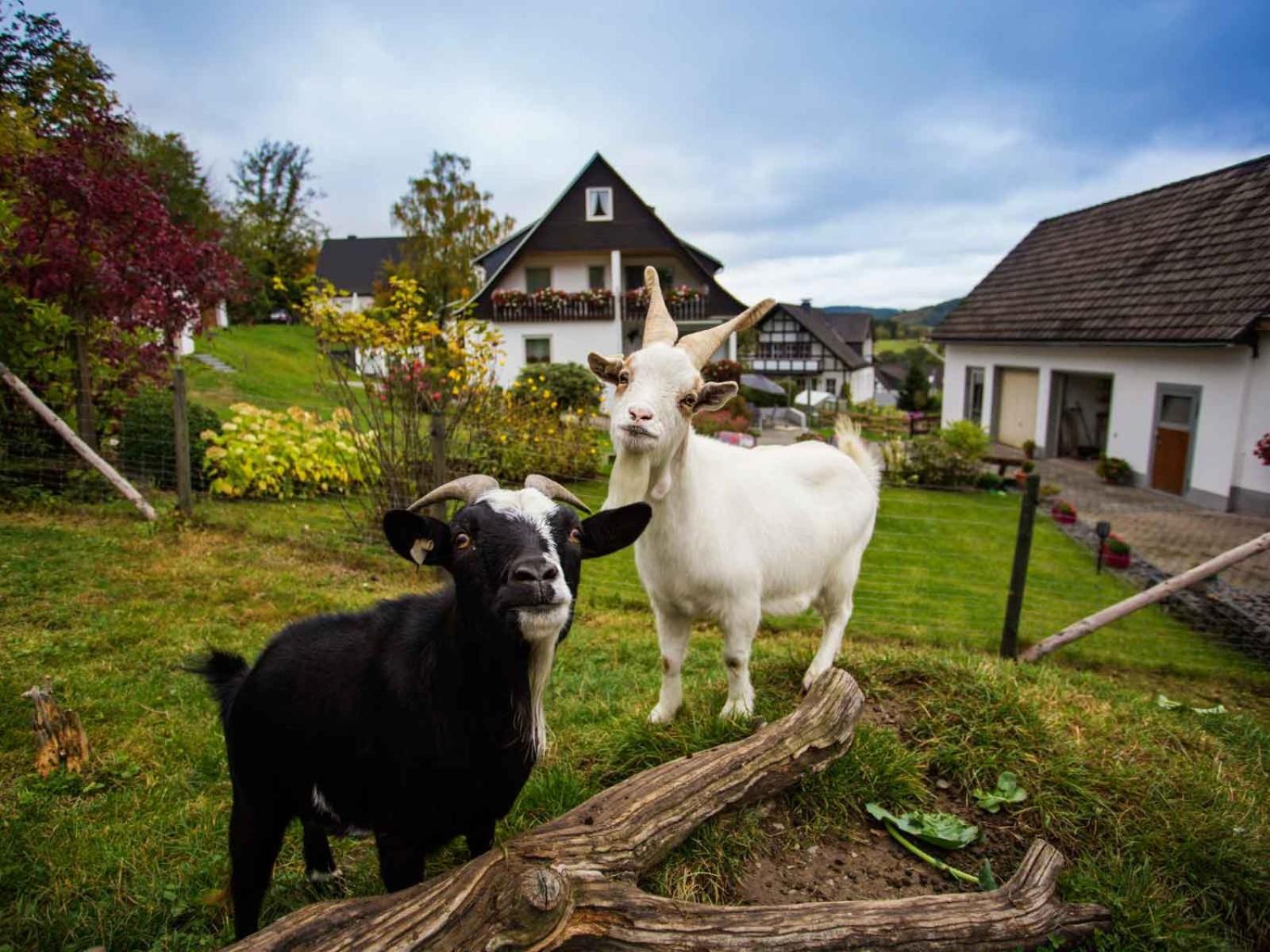 Kornkammer Schmallenberg Dış mekan fotoğraf