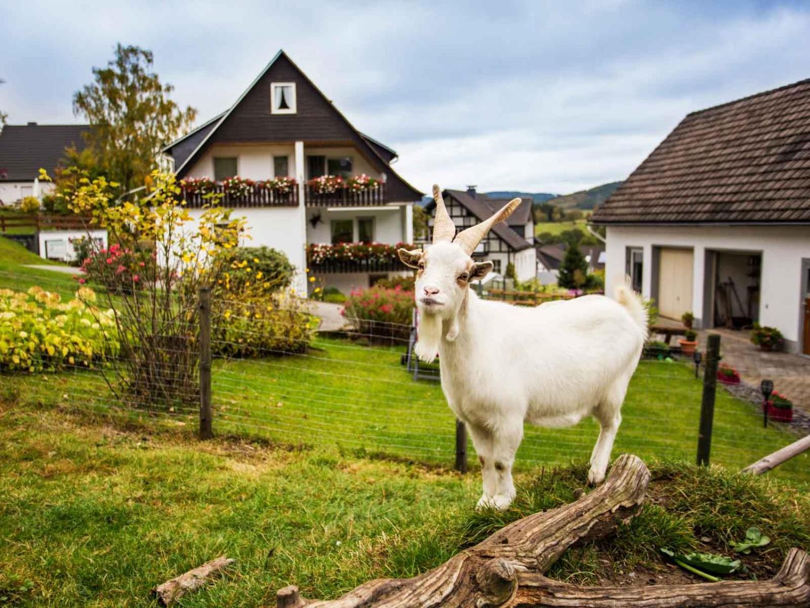 Kornkammer Schmallenberg Dış mekan fotoğraf